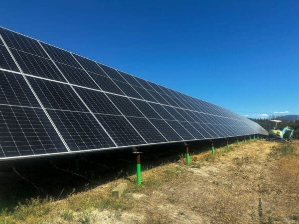 Large solar panels under clear blue sky